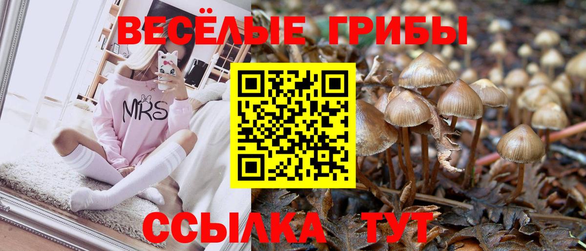 Псилоцибиновые грибы Cubensis Саранск