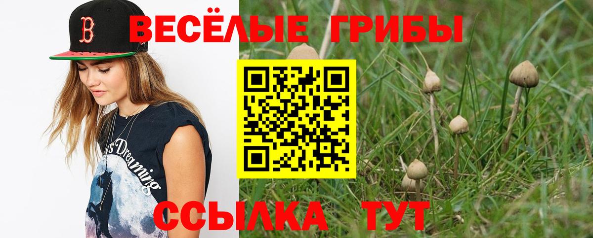 сколько стоит  Галлюциногенные грибы GOLDEN TEACHER  Саранск  Вход с VPN  Псилоцибиновые грибы Magic Shrooms 